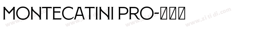 Montecatini Pro字体转换